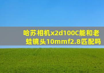 哈苏相机x2d100C能和老蛙镜头10mmf2.8匹配吗