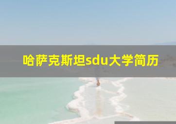 哈萨克斯坦sdu大学简历