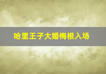 哈里王子大婚梅根入场