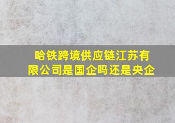 哈铁跨境供应链江苏有限公司是国企吗还是央企