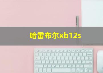 哈雷布尔xb12s