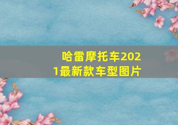 哈雷摩托车2021最新款车型图片