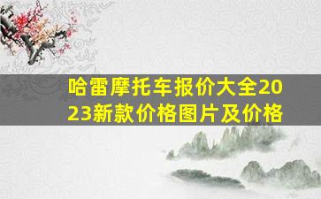 哈雷摩托车报价大全2023新款价格图片及价格