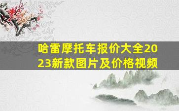 哈雷摩托车报价大全2023新款图片及价格视频