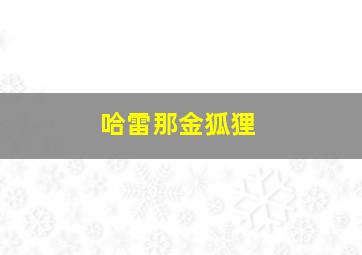 哈雷那金狐狸