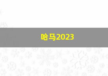 哈马2023