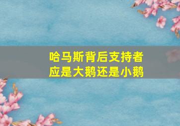 哈马斯背后支持者应是大鹅还是小鹅