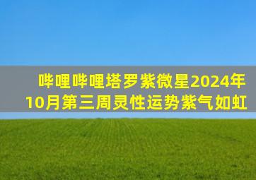 哔哩哔哩塔罗紫微星2024年10月第三周灵性运势紫气如虹