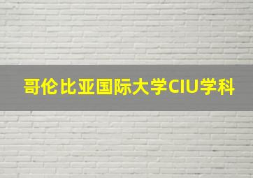 哥伦比亚国际大学CIU学科