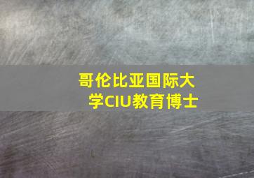 哥伦比亚国际大学CIU教育博士