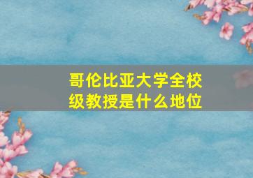 哥伦比亚大学全校级教授是什么地位