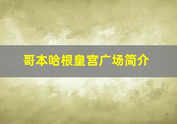 哥本哈根皇宫广场简介