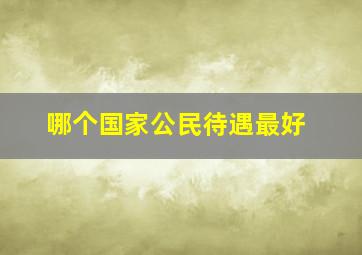 哪个国家公民待遇最好