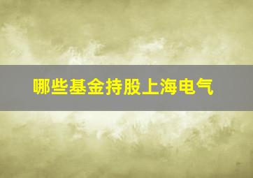 哪些基金持股上海电气