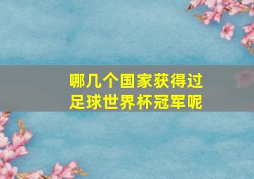 哪几个国家获得过足球世界杯冠军呢