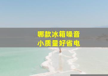 哪款冰箱噪音小质量好省电