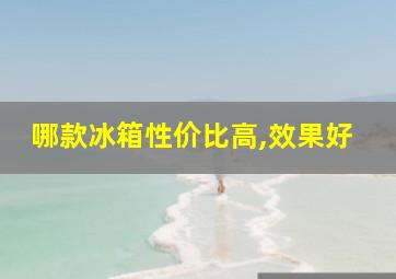 哪款冰箱性价比高,效果好