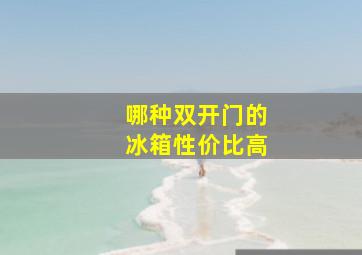 哪种双开门的冰箱性价比高