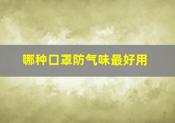 哪种口罩防气味最好用