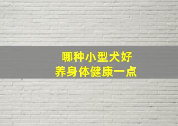 哪种小型犬好养身体健康一点