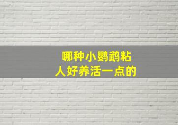 哪种小鹦鹉粘人好养活一点的