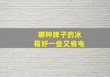 哪种牌子的冰箱好一些又省电