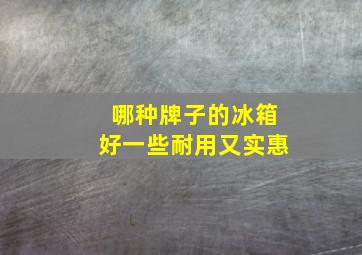 哪种牌子的冰箱好一些耐用又实惠