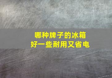 哪种牌子的冰箱好一些耐用又省电