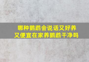 哪种鹦鹉会说话又好养又便宜在家养鹦鹉干净吗