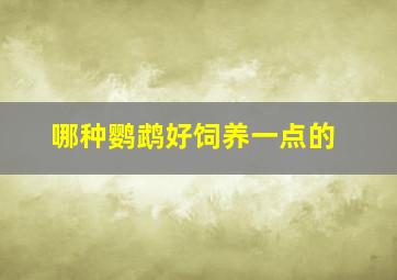 哪种鹦鹉好饲养一点的