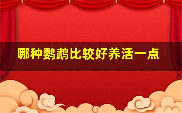 哪种鹦鹉比较好养活一点