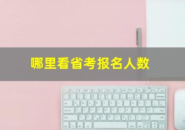 哪里看省考报名人数