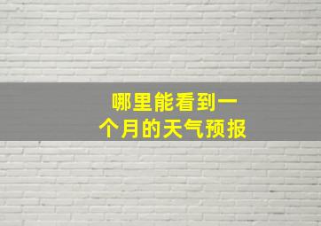 哪里能看到一个月的天气预报