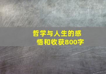 哲学与人生的感悟和收获800字