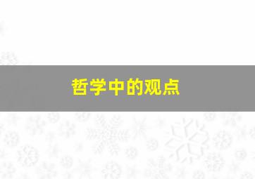 哲学中的观点