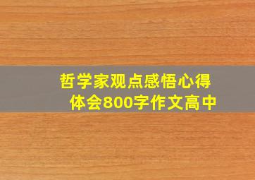 哲学家观点感悟心得体会800字作文高中