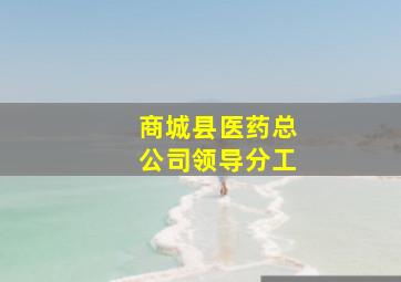 商城县医药总公司领导分工