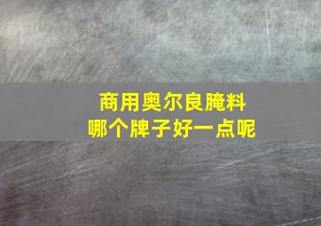 商用奥尔良腌料哪个牌子好一点呢