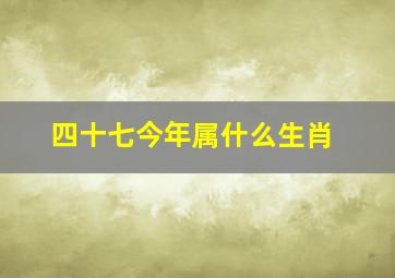 四十七今年属什么生肖