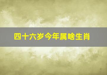 四十六岁今年属啥生肖