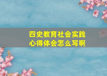 四史教育社会实践心得体会怎么写啊