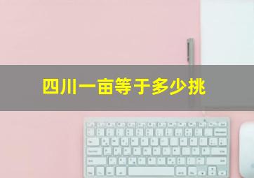 四川一亩等于多少挑