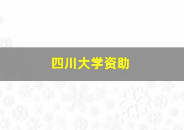 四川大学资助