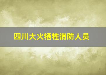 四川大火牺牲消防人员