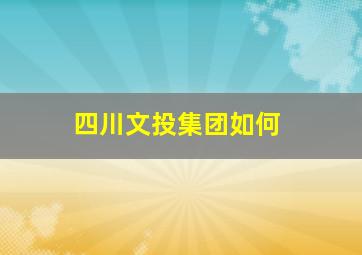 四川文投集团如何