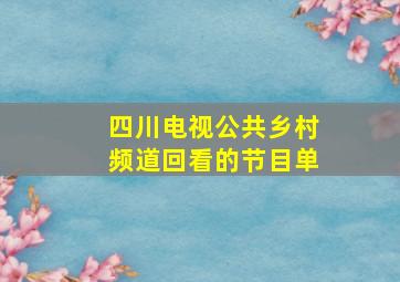 四川电视公共乡村频道回看的节目单