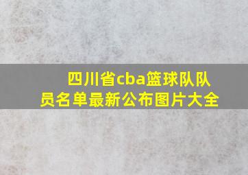 四川省cba篮球队队员名单最新公布图片大全