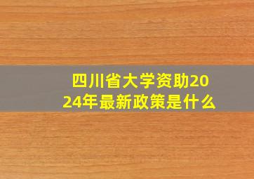 四川省大学资助2024年最新政策是什么