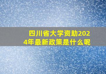 四川省大学资助2024年最新政策是什么呢