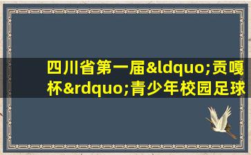 四川省第一届“贡嘎杯”青少年校园足球联赛直播